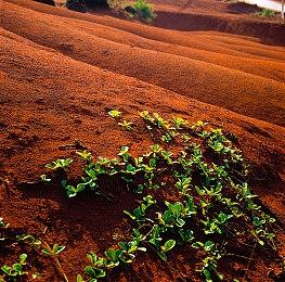 玩家分享参观任天堂博物馆奇遇 3DS擦肩通信到宫本茂